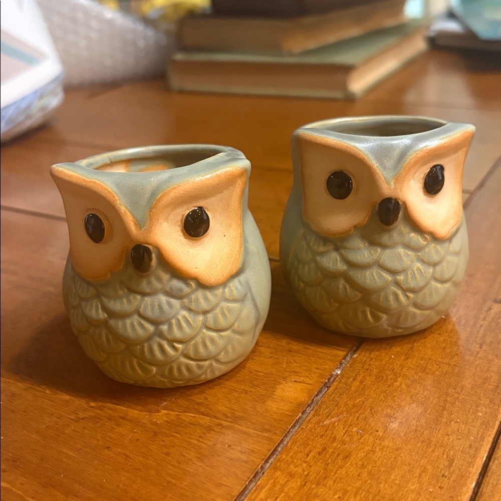 NWOT Set of 2 - Owl Ceramic Planter or Votive- adorable minis. Green